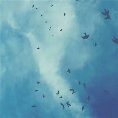 海洋奏歌变态版下载