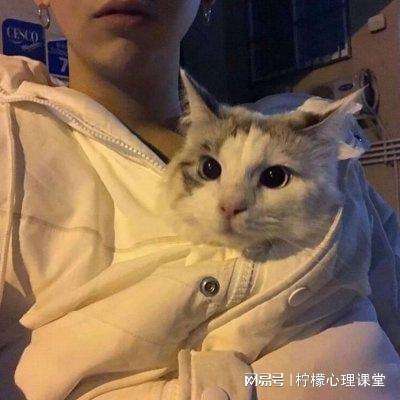 挂个奇迹ol手游下载