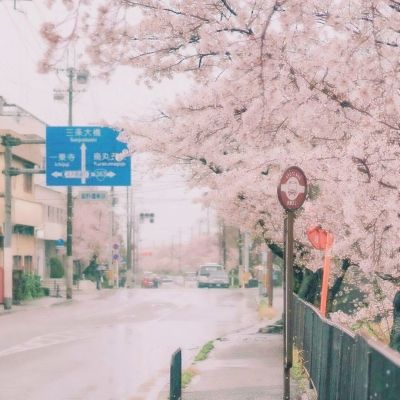 烟雨江湖折扣平台下载